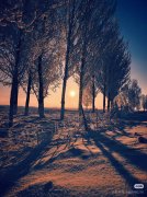 <b>：深度运营伊犁本地市场</b>